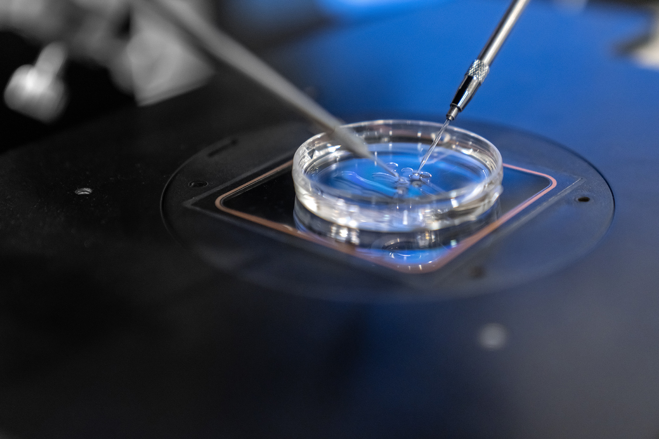 Workshop: CAP Accreditation Boot camp for IVF Labs